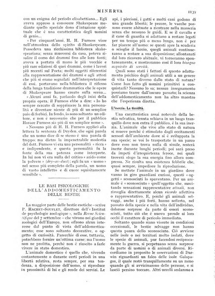 Minerva rassegna internazionale