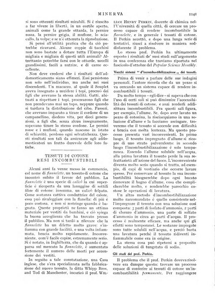 Minerva rassegna internazionale