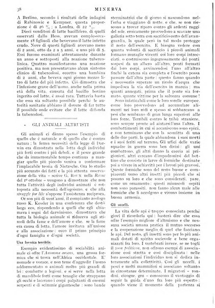 Minerva rassegna internazionale