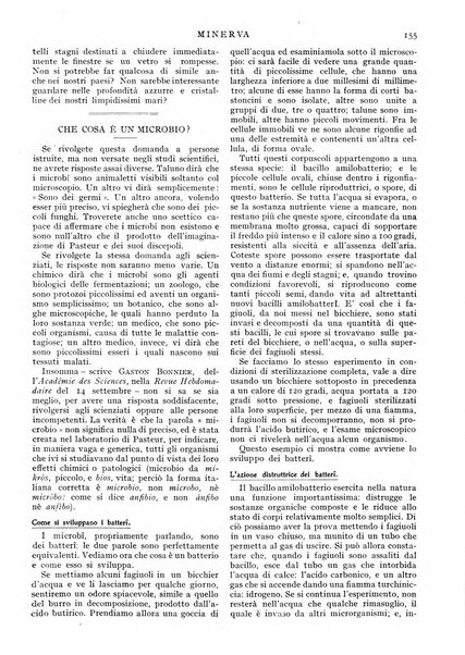 Minerva rassegna internazionale