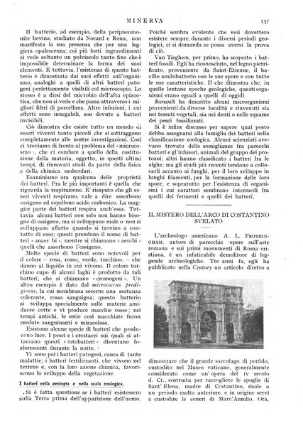 Minerva rassegna internazionale