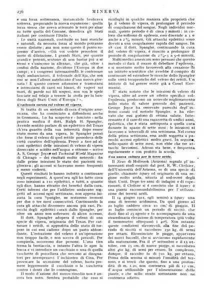 Minerva rassegna internazionale