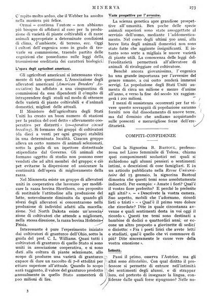 Minerva rassegna internazionale