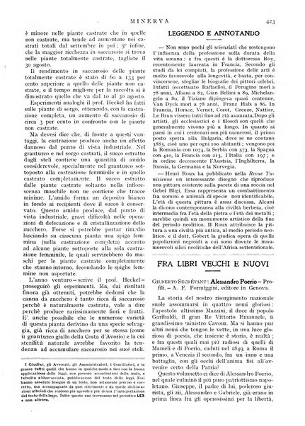 Minerva rassegna internazionale