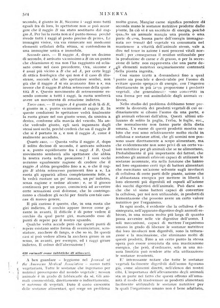 Minerva rassegna internazionale