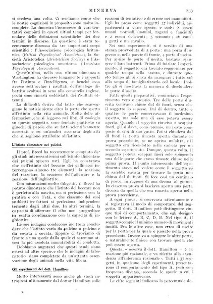 Minerva rassegna internazionale