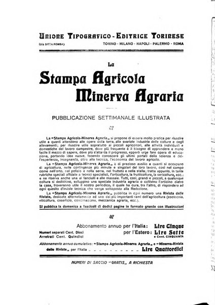 Minerva rassegna internazionale