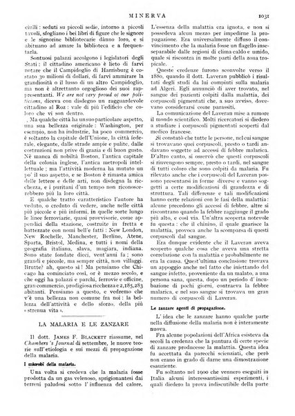 Minerva rassegna internazionale