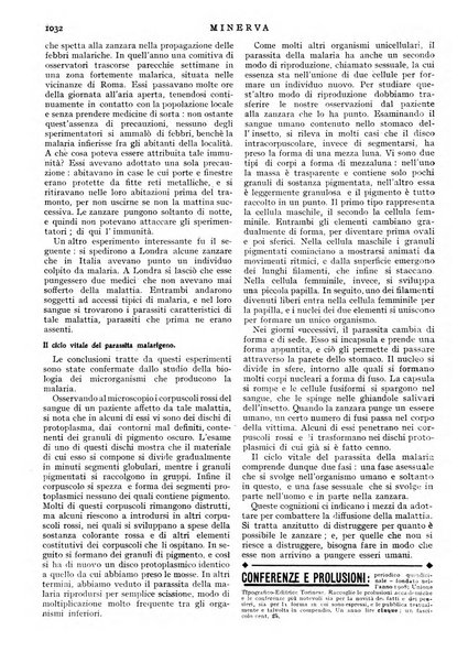 Minerva rassegna internazionale