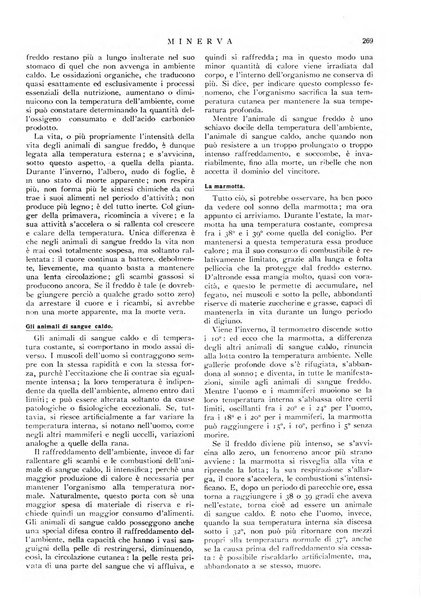 Minerva rassegna internazionale