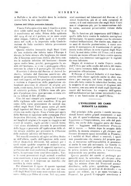 Minerva rassegna internazionale