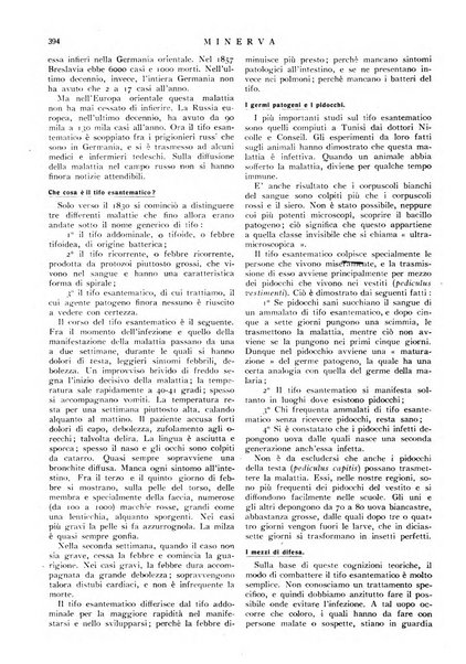 Minerva rassegna internazionale