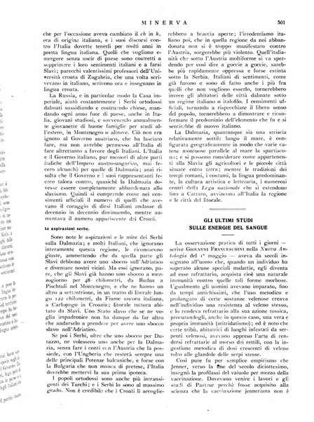 Minerva rassegna internazionale