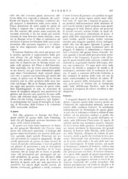 Minerva rassegna internazionale