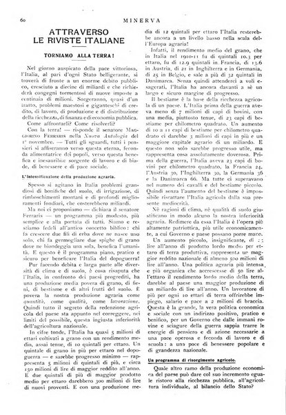 Minerva rassegna internazionale