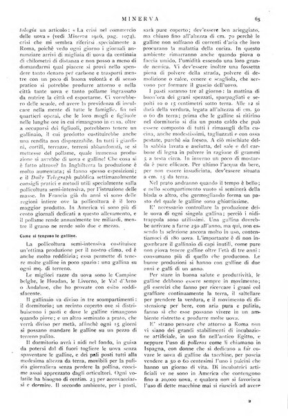 Minerva rassegna internazionale