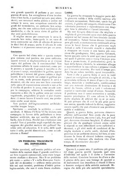 Minerva rassegna internazionale