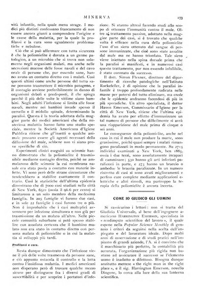 Minerva rassegna internazionale