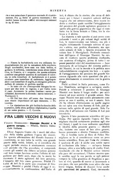 Minerva rassegna internazionale