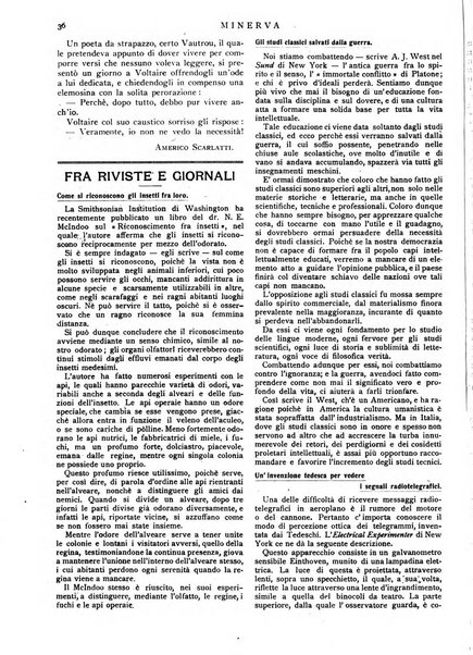 Minerva rassegna internazionale