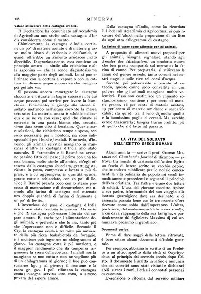 Minerva rassegna internazionale