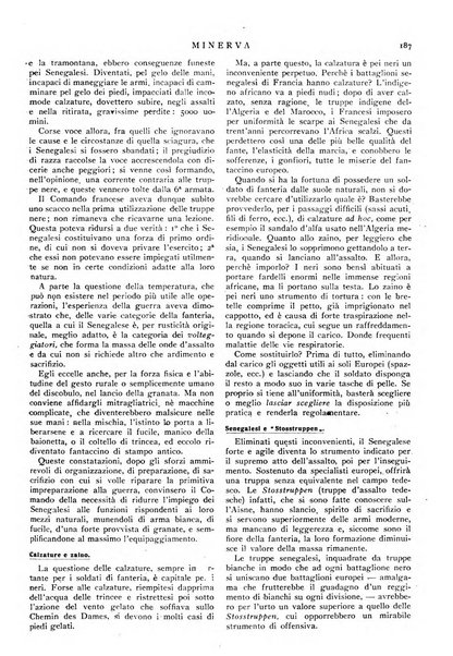 Minerva rassegna internazionale