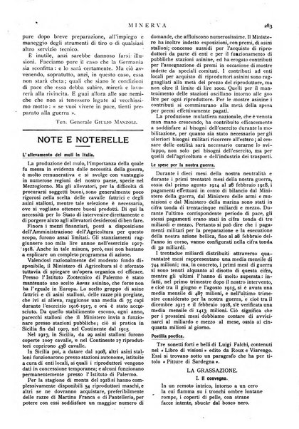 Minerva rassegna internazionale