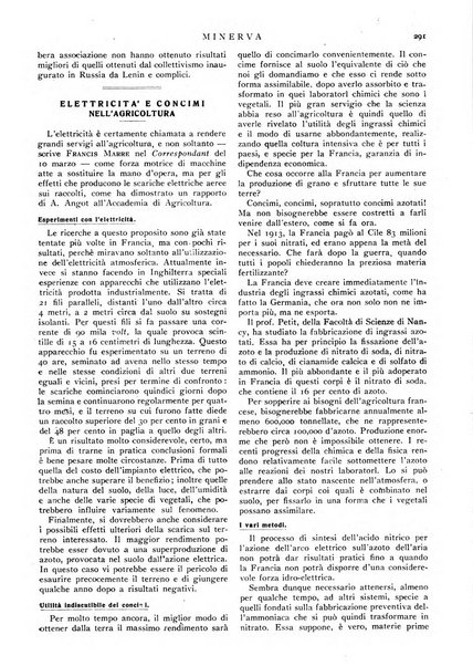 Minerva rassegna internazionale