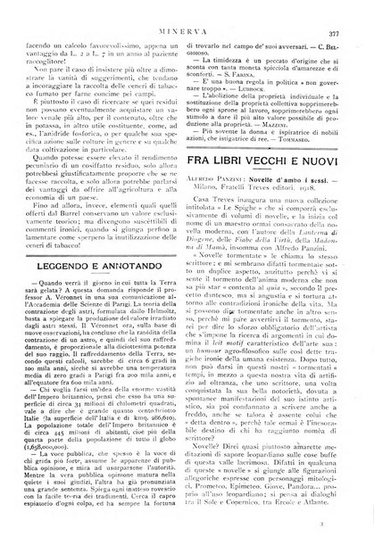 Minerva rassegna internazionale