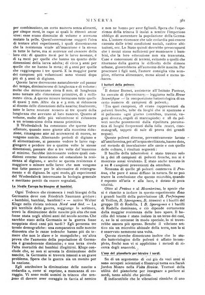 Minerva rassegna internazionale