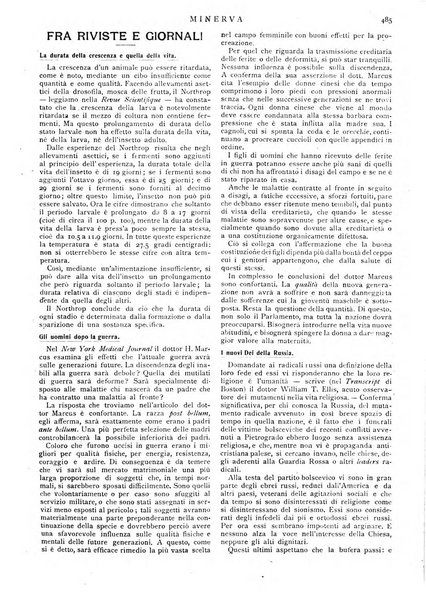 Minerva rassegna internazionale