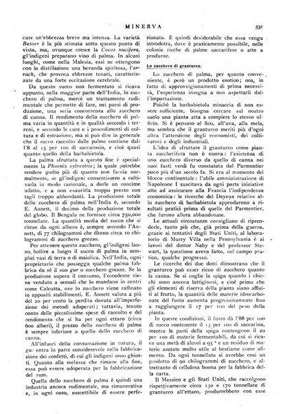 Minerva rassegna internazionale