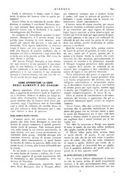 Minerva rassegna internazionale