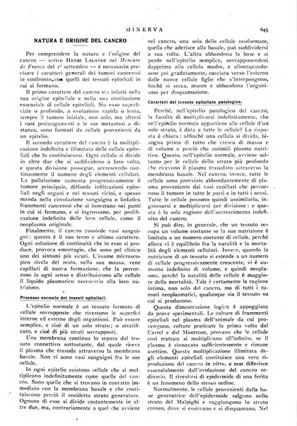 Minerva rassegna internazionale