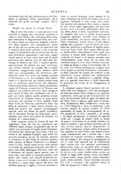 Minerva rassegna internazionale