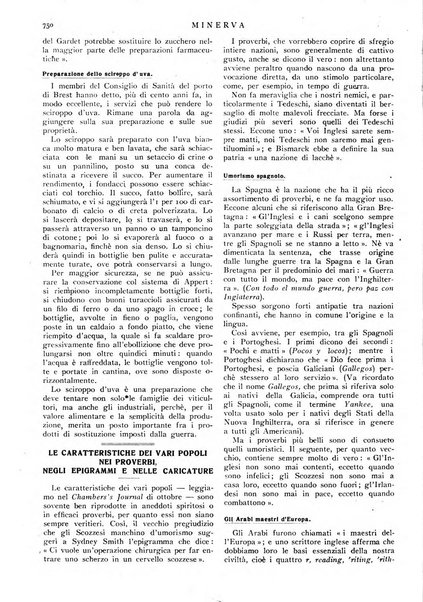 Minerva rassegna internazionale