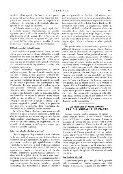 Minerva rassegna internazionale