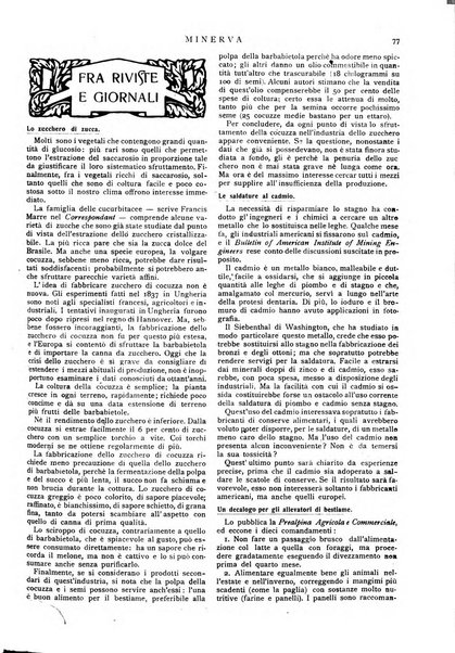 Minerva rassegna internazionale