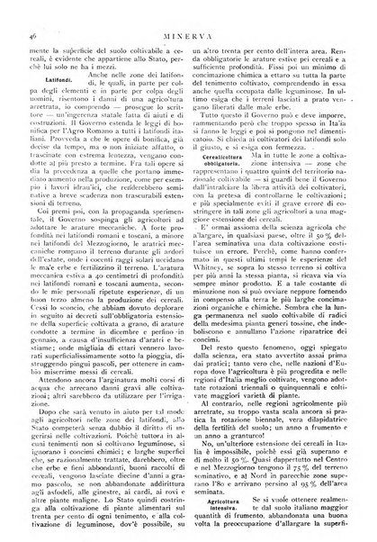 Minerva rassegna internazionale