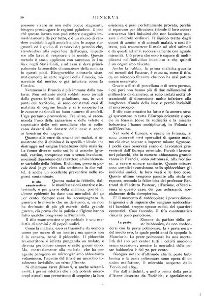 Minerva rassegna internazionale