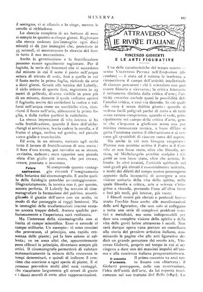 Minerva rassegna internazionale