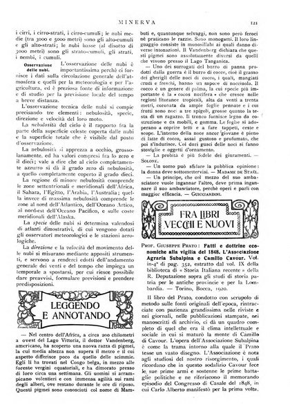 Minerva rassegna internazionale