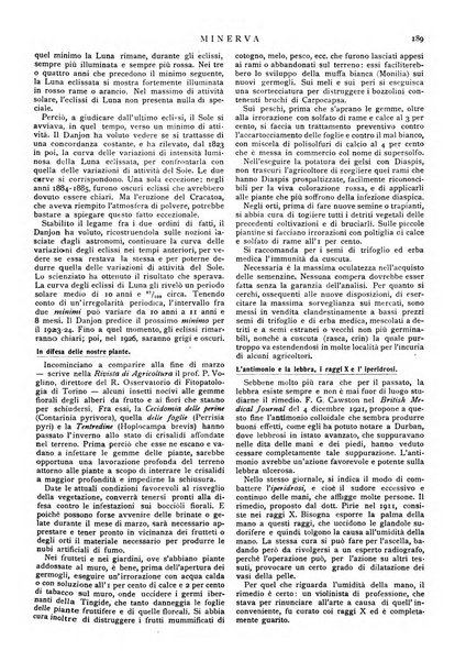 Minerva rassegna internazionale