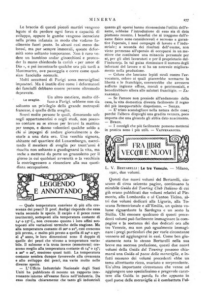 Minerva rassegna internazionale