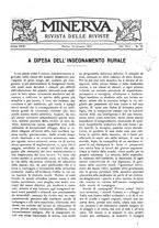 giornale/CFI0358541/1921/unico/00000419