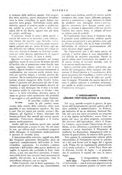 Minerva rassegna internazionale