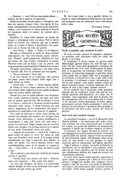 Minerva rassegna internazionale