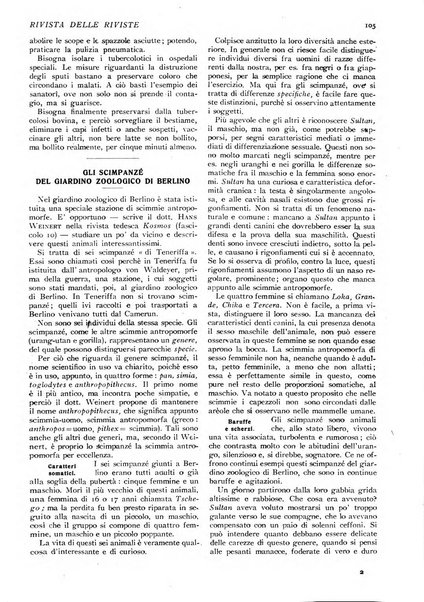 Minerva rassegna internazionale