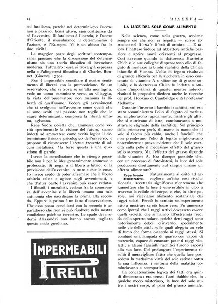 Minerva rassegna internazionale