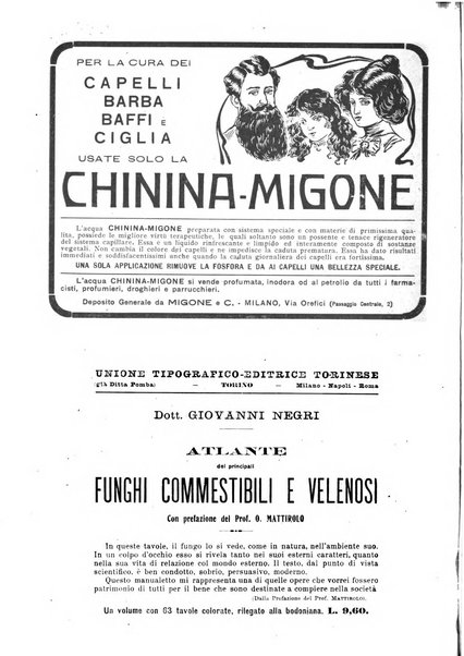 Minerva rassegna internazionale